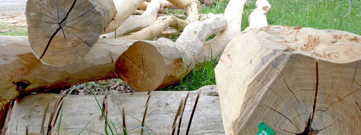 Sandspiele und Wasserspiele aus Holz, Weissenberg  - Sachsen Germany