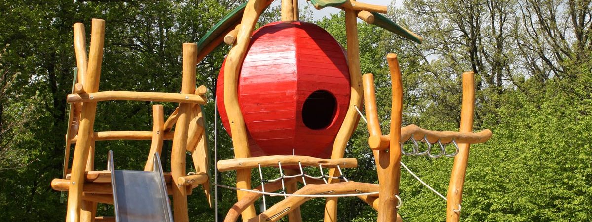 Spielanlage " Kletterkirsche" aus Robinienholz